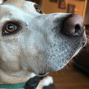 Meet your Posher, Ben